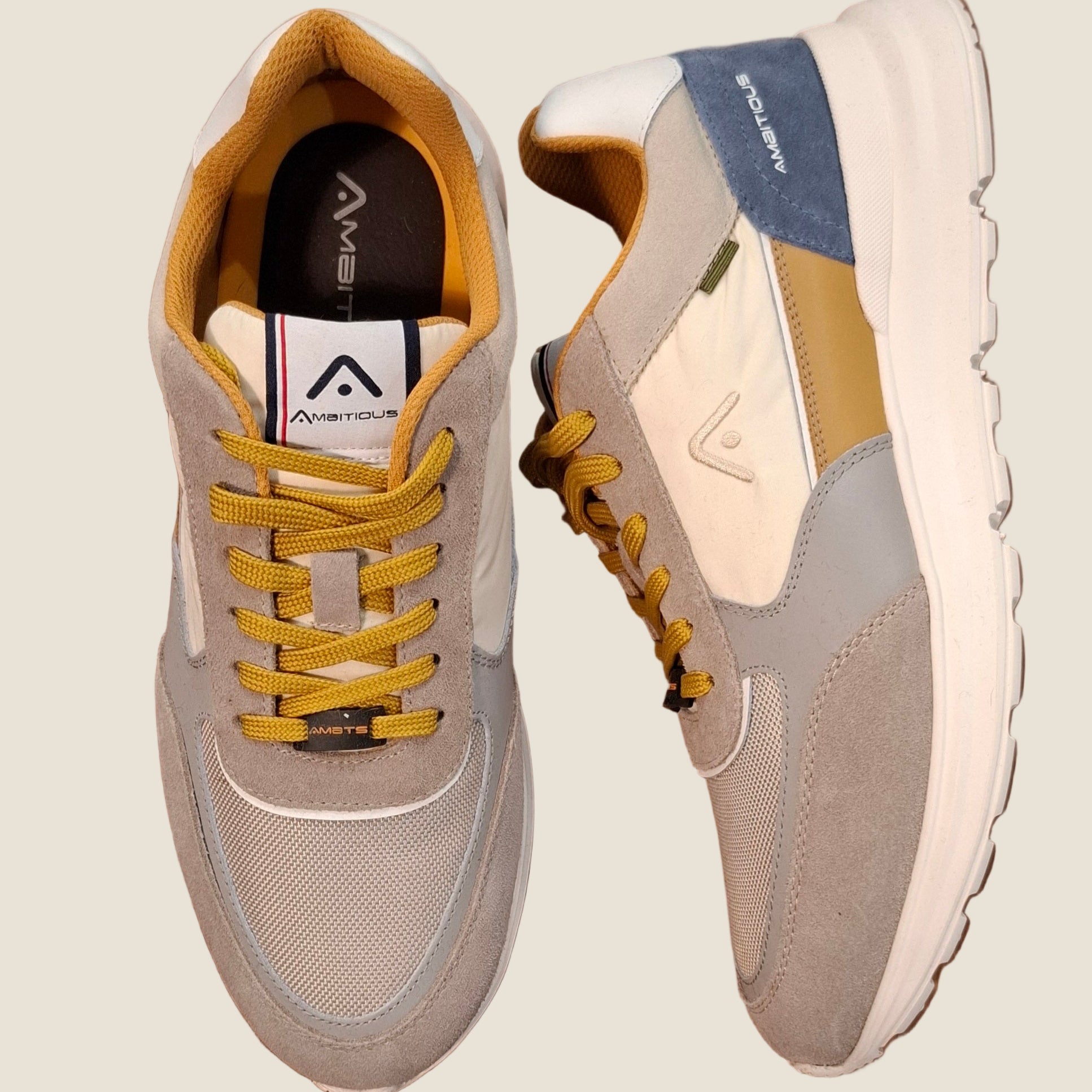 Ambitious 13571E-1290AM