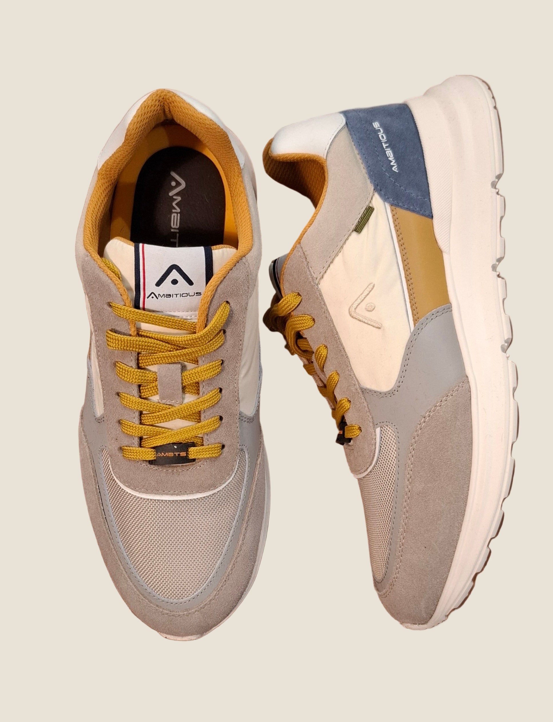 Ambitious 13571E-1290AM