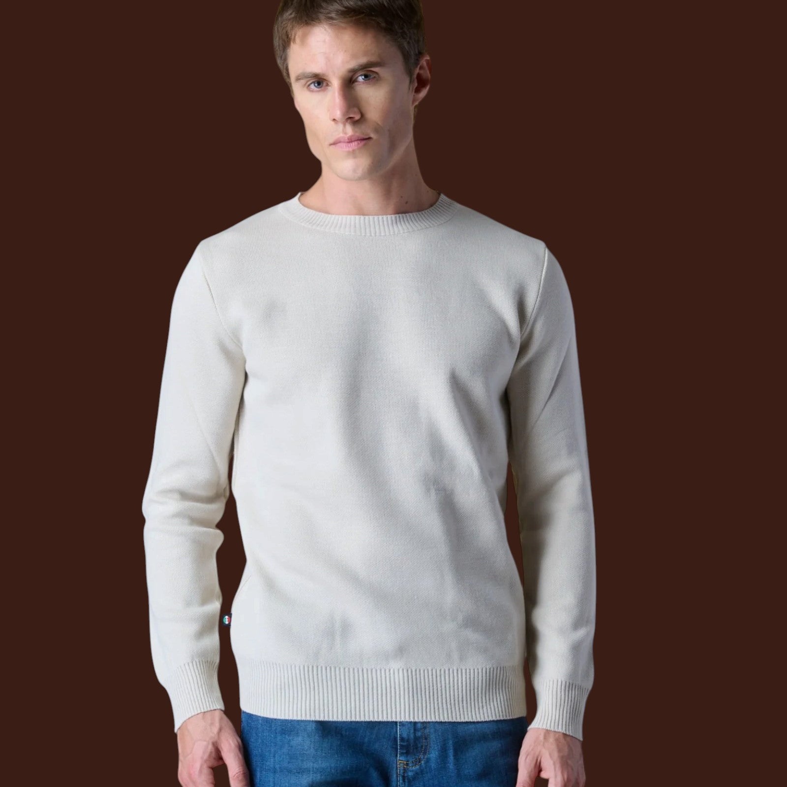 Maglione Girocollo Punto Stoffa con Toppe Ricamate in doppio tessuto V2 Burro (1)