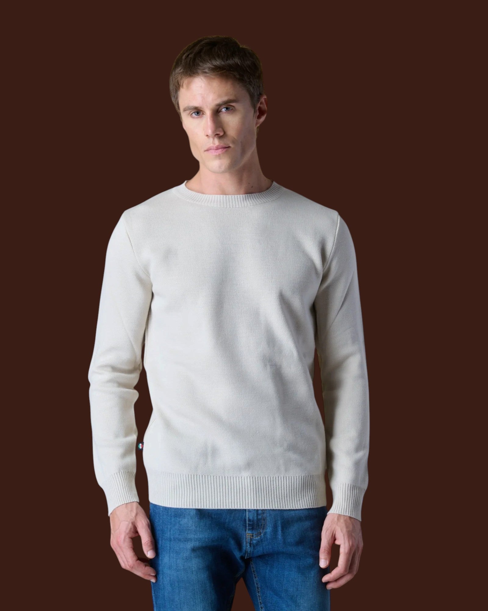 Maglione Girocollo Punto Stoffa con Toppe Ricamate in doppio tessuto V2 Burro (1)