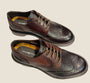 Ambitious BRT Brogues